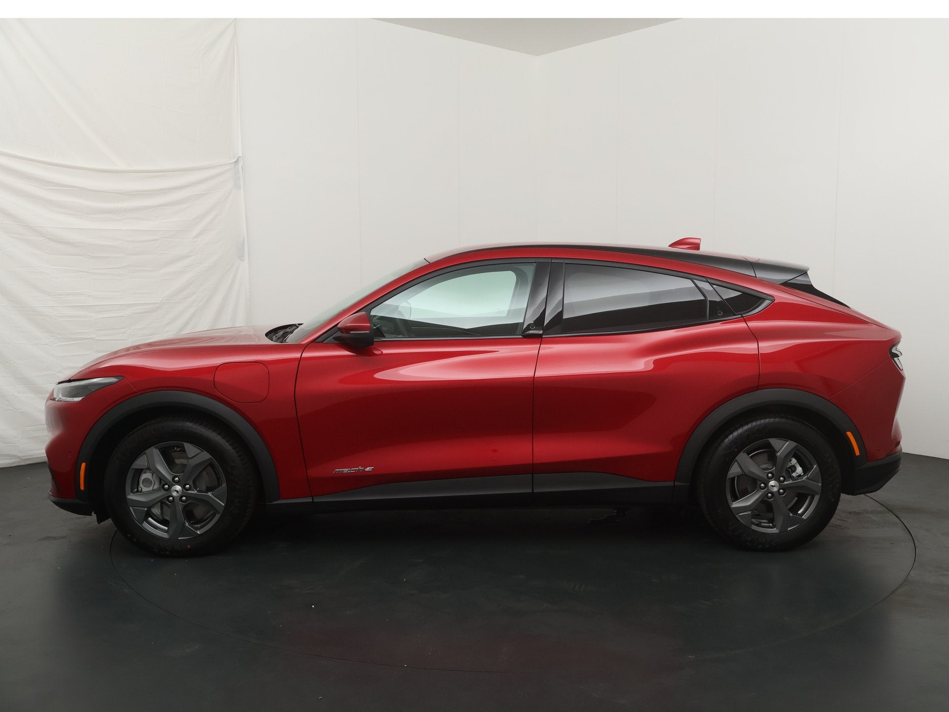 Ford Mustang Mach-E RWD 75 kWh 268 pk | B&O | Adapt. cruise, Achterwielaandrijving, Gebruikt, 75 kWh, 450 min