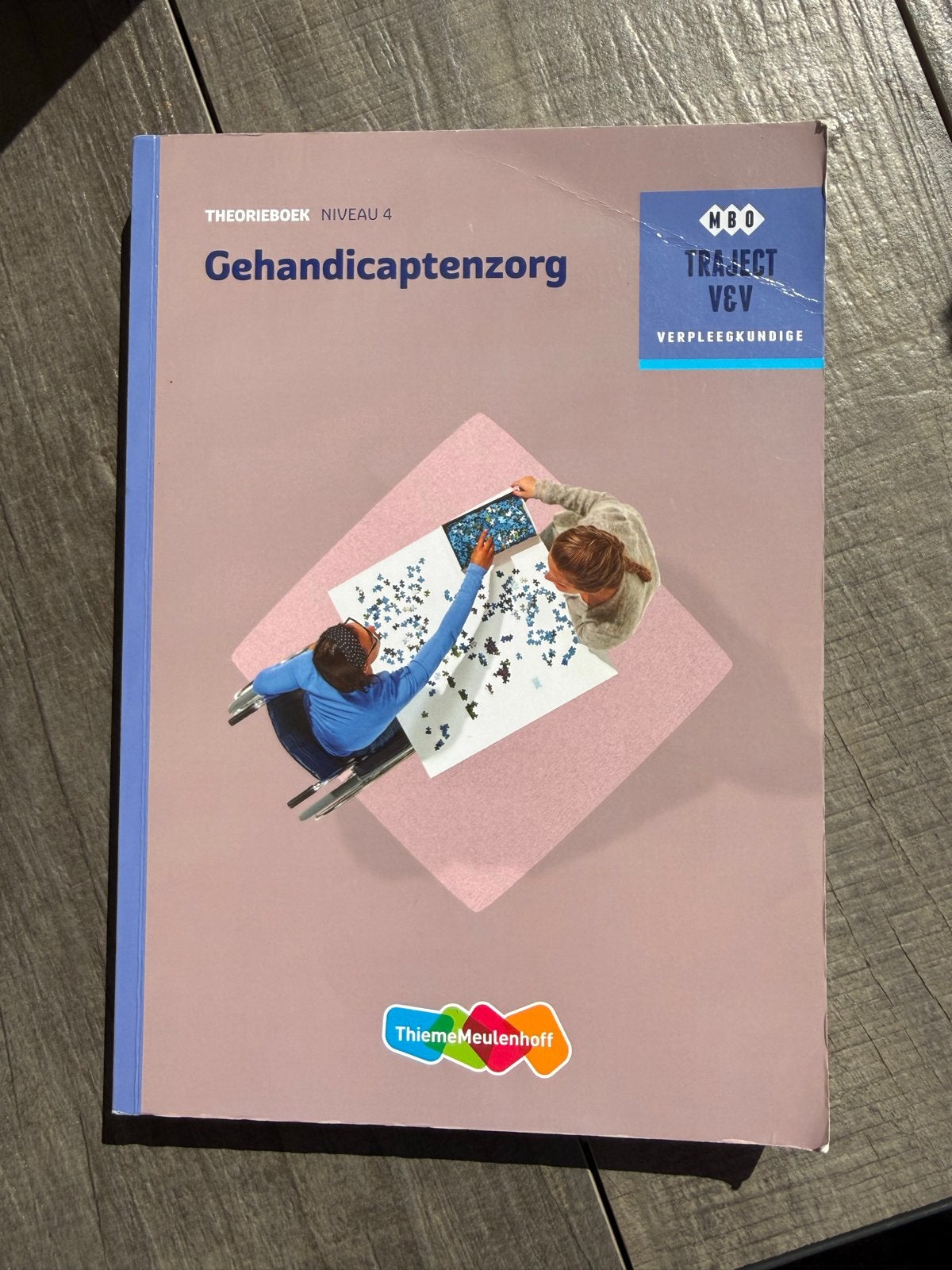 Theorieboek Gehandicaptenzorg Niveau 4 - Zeer goede staat, Ophalen of Verzenden, Gamma, Zo goed als nieuw, MBO