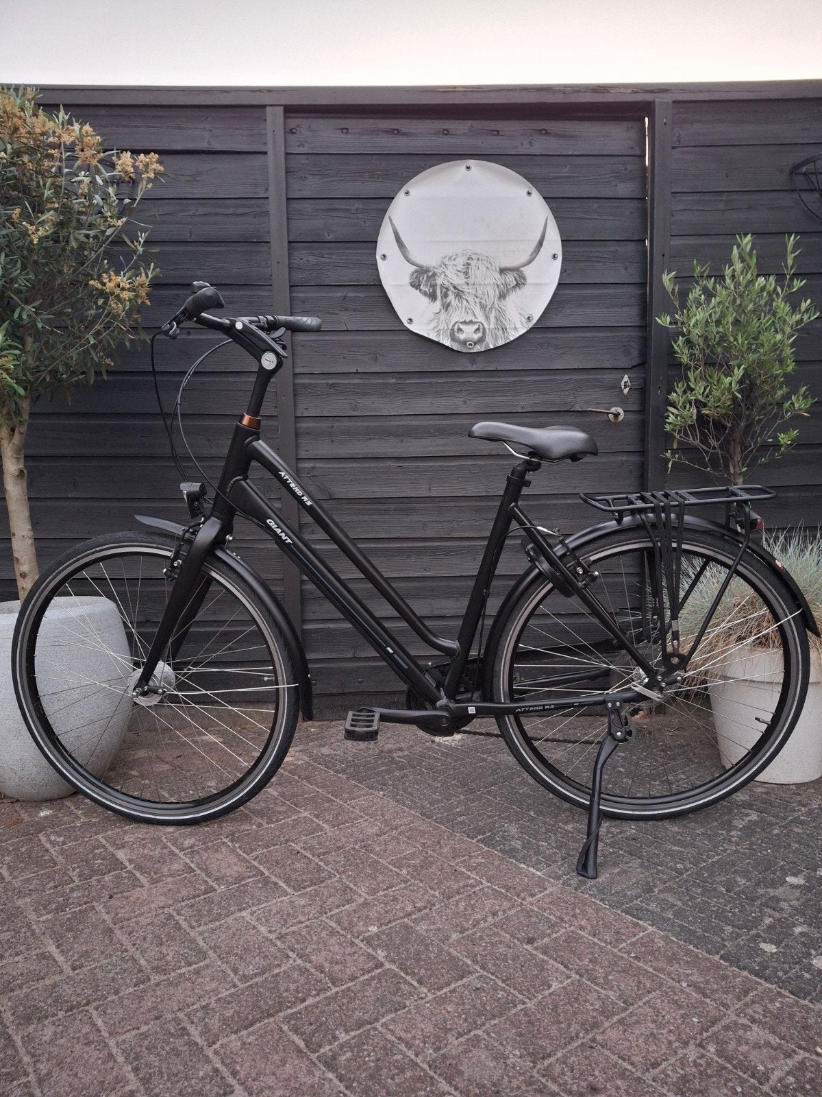 Giant Attend RS 3 damesfiets meisjesfiets 28 inch D55cm ZGAN, Ophalen, 28 inch, 53 tot 56 cm, Velgrem