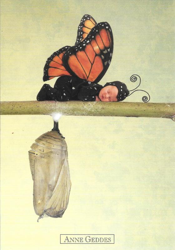 Anne Geddes kaart nr. A203: Monarch Vlinder, Verzenden, 1980 tot heden, Ongelopen, Kinderen