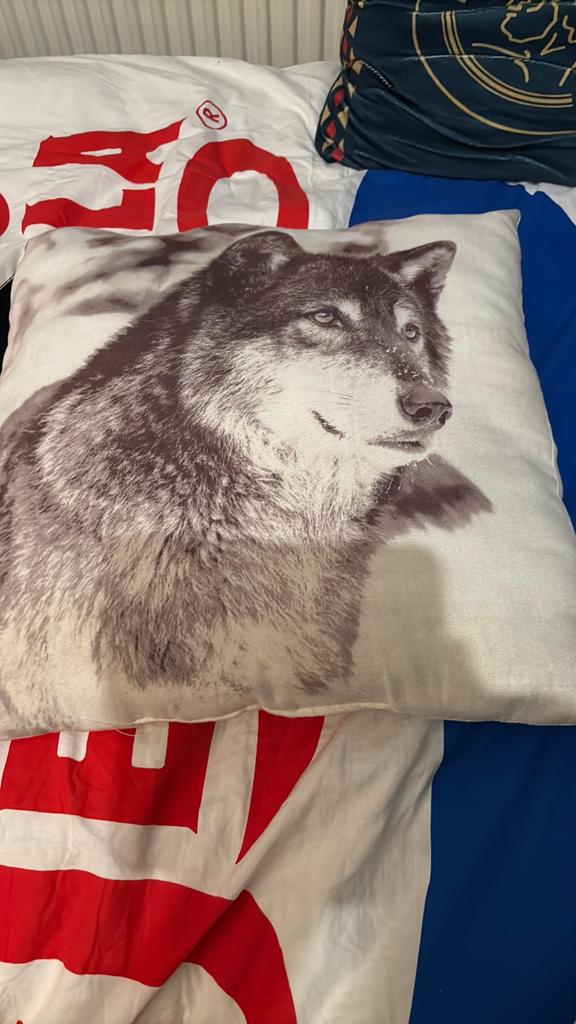 Wolf kussen, Ophalen of Verzenden, Zo goed als nieuw, Vierkant