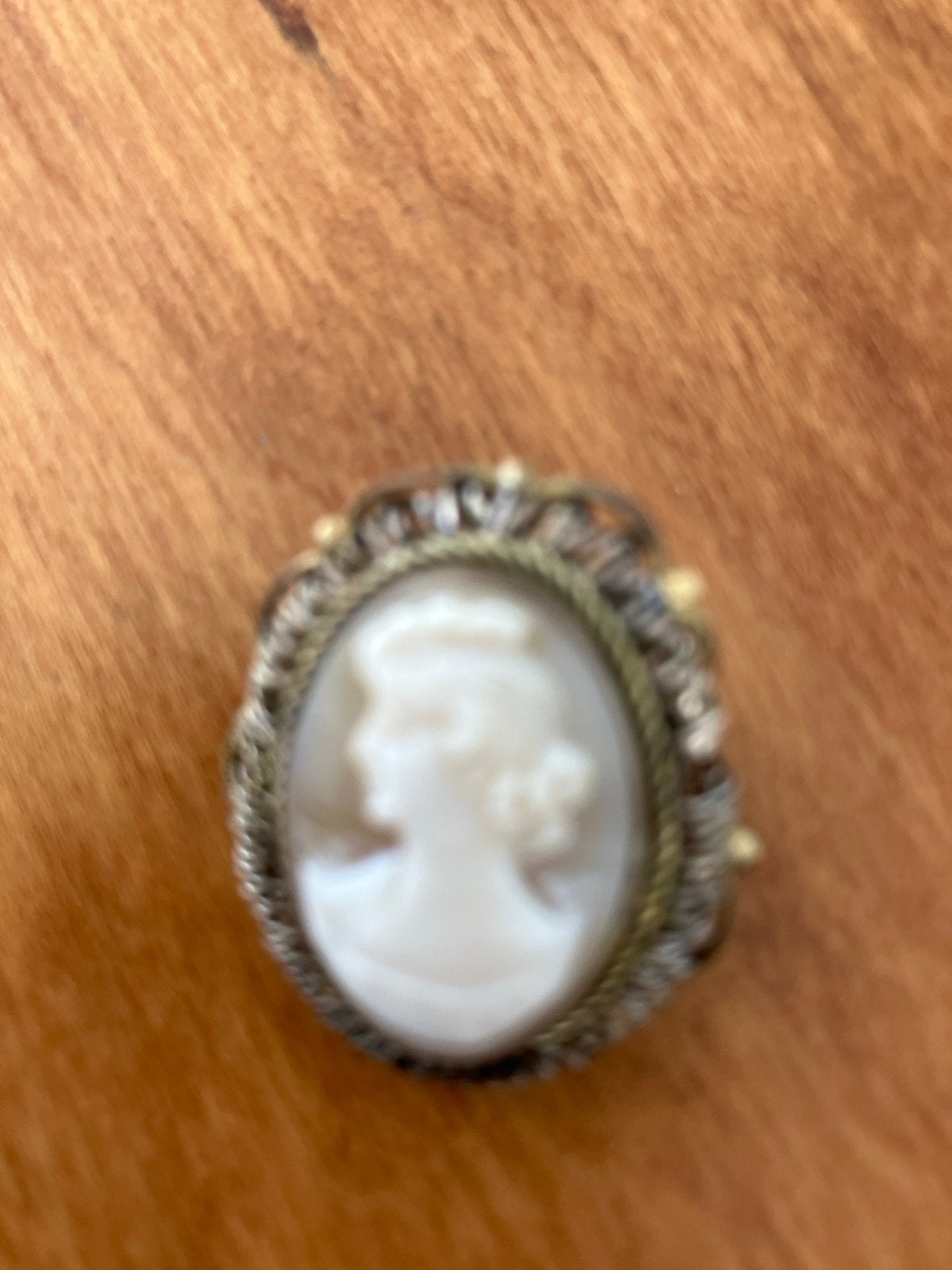 Vintage Camee Broche/Hanger met Vrouwenprofiel, Sieraden, Tassen en Uiterlijk, Broches, Brons, 4 tot 7 cm, Gebruikt, Overige kleuren