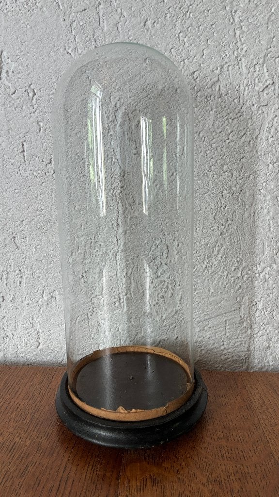 Vintage antieke stolp, Glas, Ophalen, Zo goed als nieuw, Met plateau