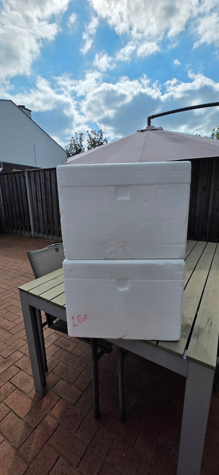 Grote piepschuim dozen (2 stuks) - Ideaal voor isolatie, Doe-het-zelf en Verbouw, Kratten en Dozen, Ophalen, Doos, 40 tot 60 cm