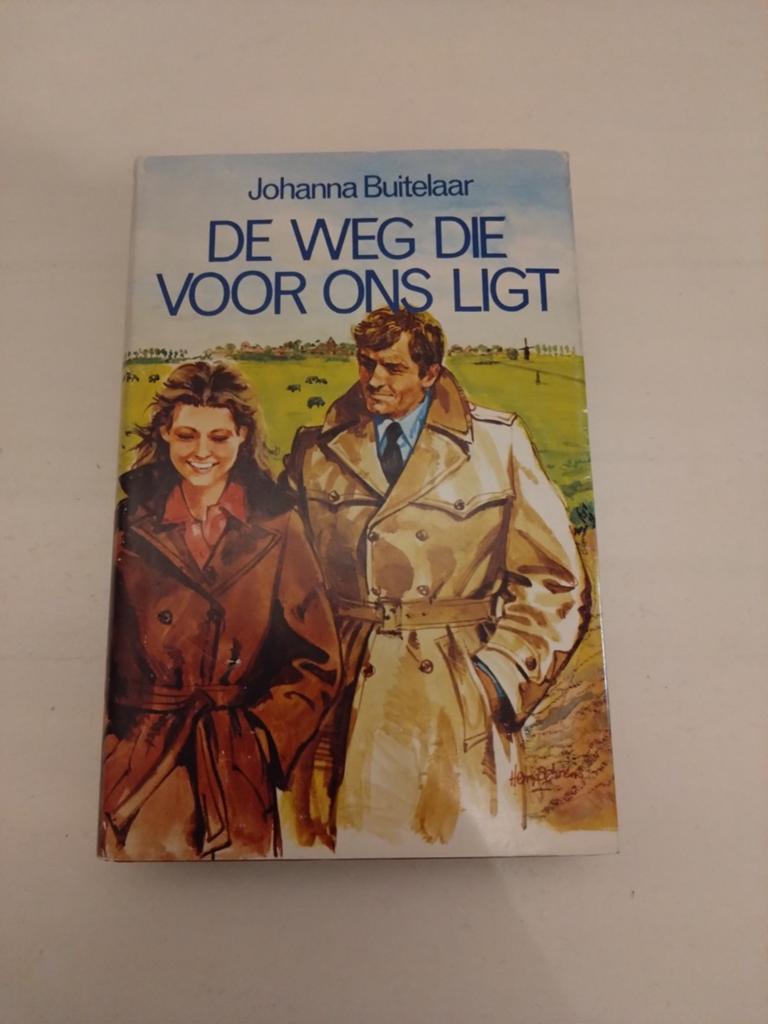 De Weg Die Voor Ons Ligt - Johanna Buitelaar (Roman), Boeken, Ophalen of Verzenden, Gelezen, Johanna Buitelaar, Nederland