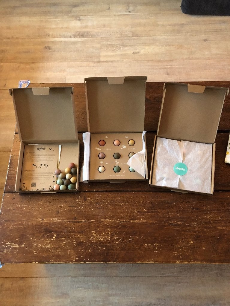 3Bloombox Wildflower Zaadbommen /Seed Bombs (Nieuw in doos!), Ophalen of Verzenden, Gehele jaar, Volle zon, Zaad