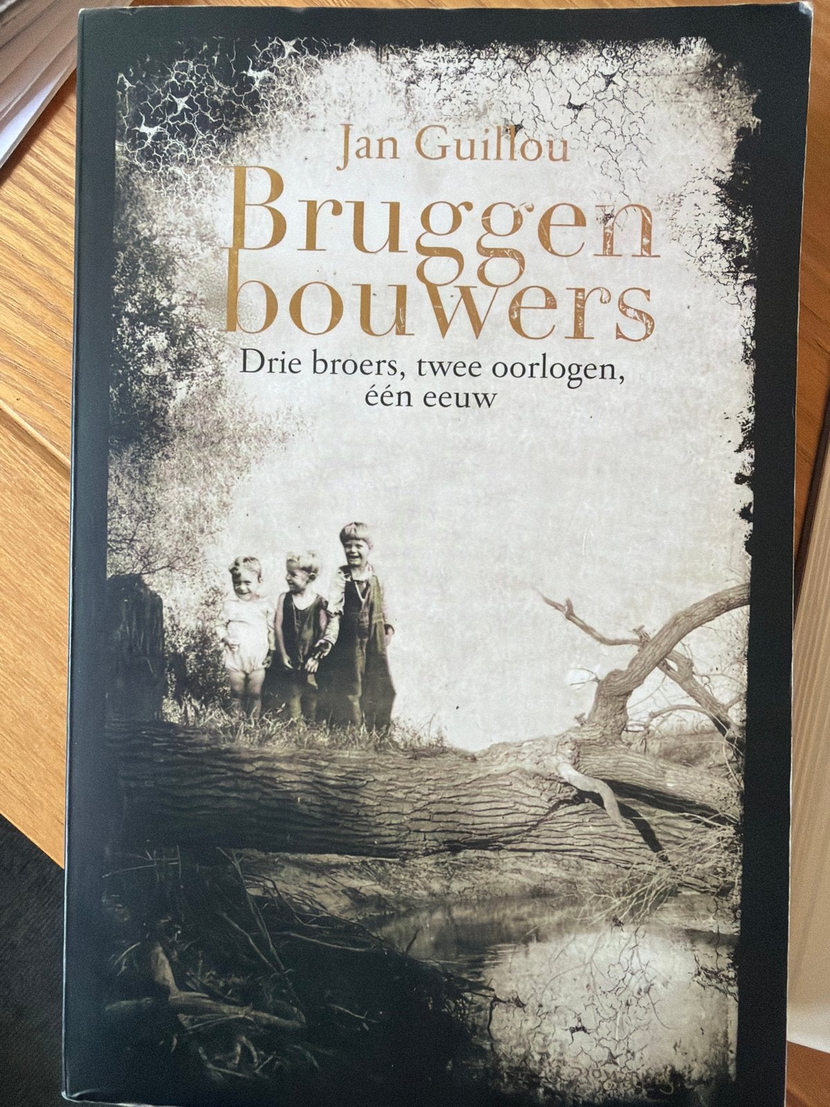 Bruggenbouwers - Jan Guillou, Boeken, Ophalen of Verzenden, Gelezen, Europa overig