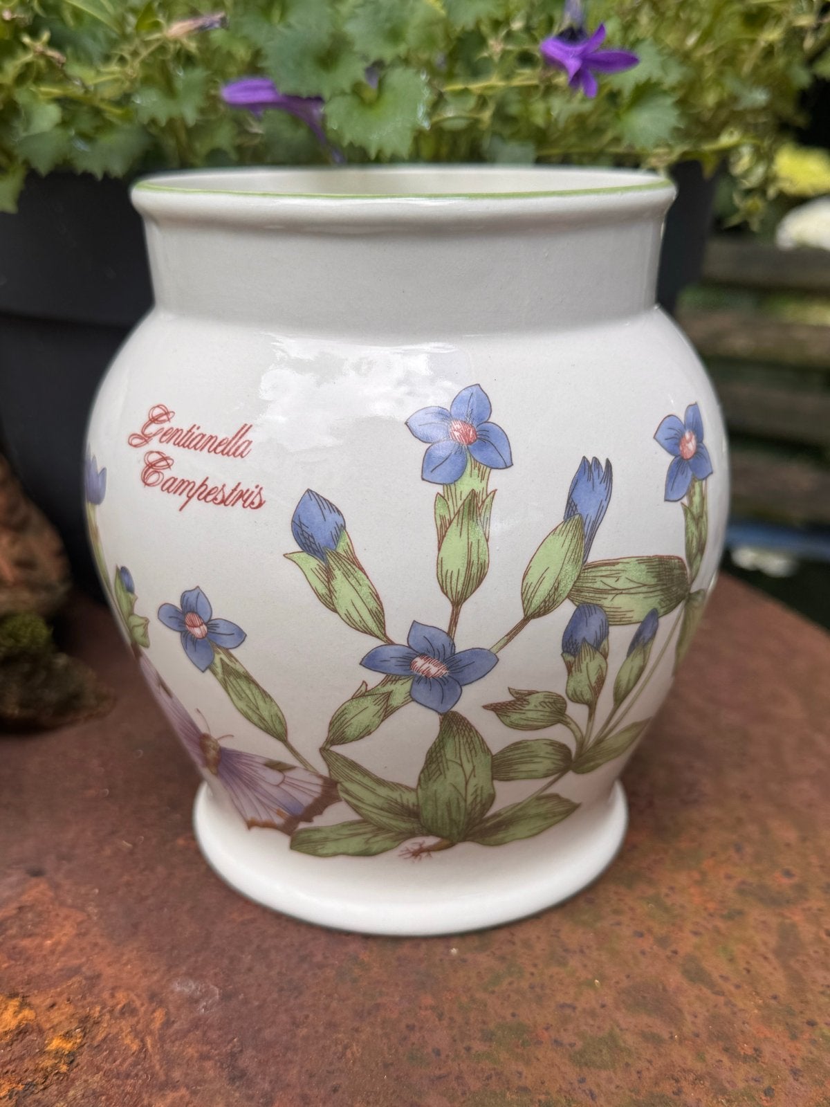 Engelse vaas / overpot vlinder & Gentianella Campestris, Ophalen of Verzenden