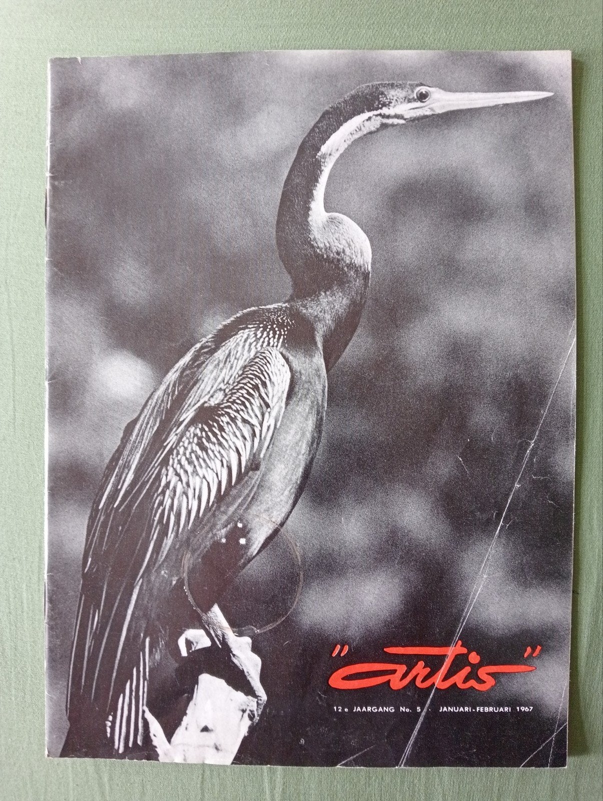Artis Magazine - Jan-Feb1967 - Afrikaanse Slangehal, Ophalen of Verzenden, Gelezen, Wetenschap en Natuur