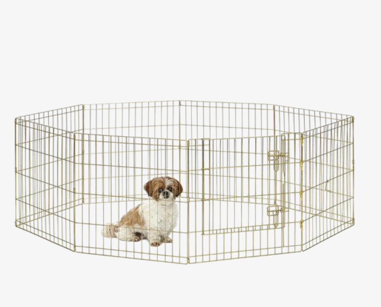 Stijlvolle puppyren / hondenren – Goud/Brass kleur – € 75,-, Ophalen, Zo goed als nieuw, 110 cm of meer