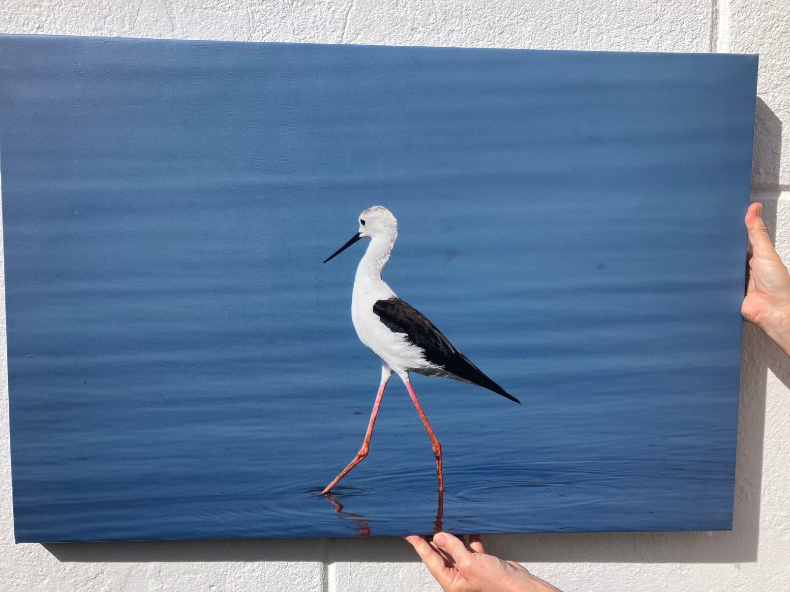 Poster, Antiek en Kunst, Ophalen, Dieren en Natuur, Offsetdruk