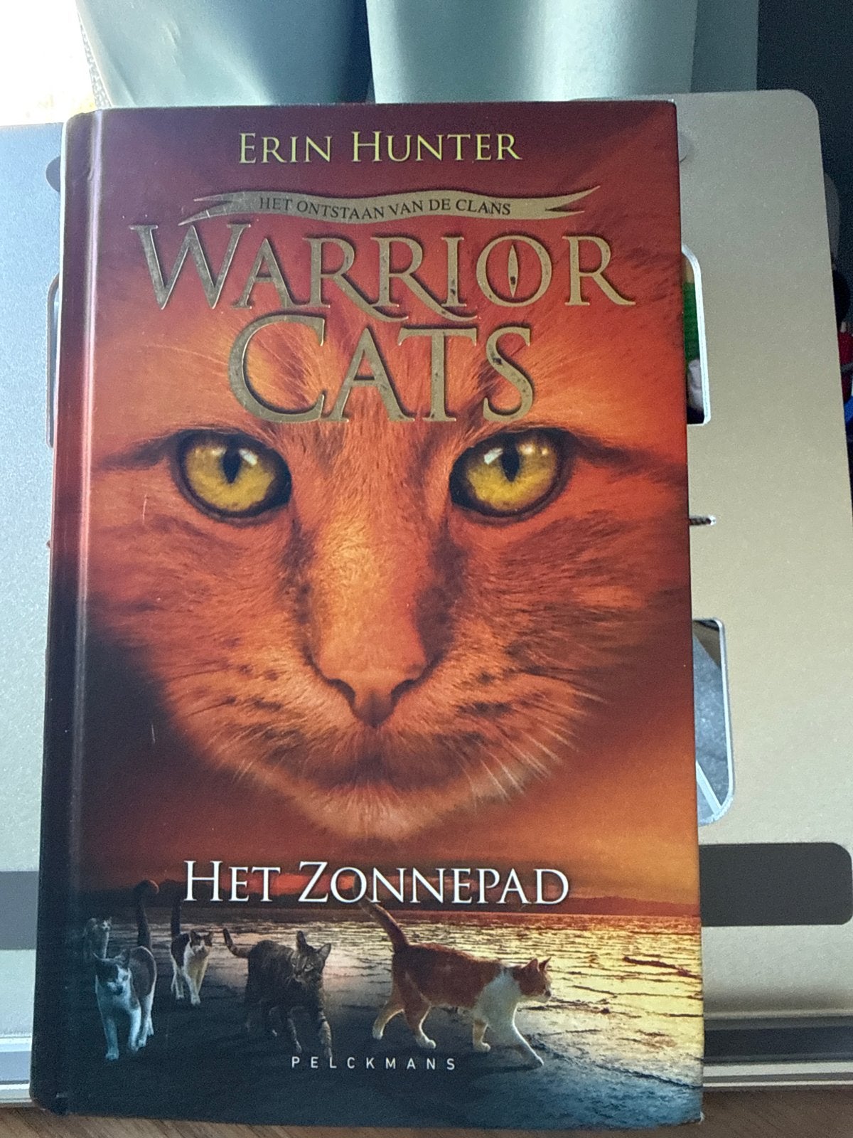 Warrior Cats: Het Zonnepad - Erin Hunter, Boeken, Ophalen of Verzenden, Zo goed als nieuw