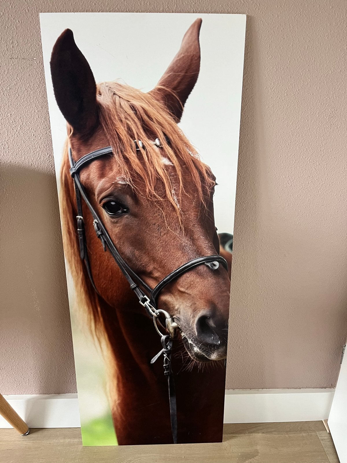 Grote poster paard - wanddecoratie, Ophalen, Minder dan 50 cm, Zo goed als nieuw, Foto of Poster