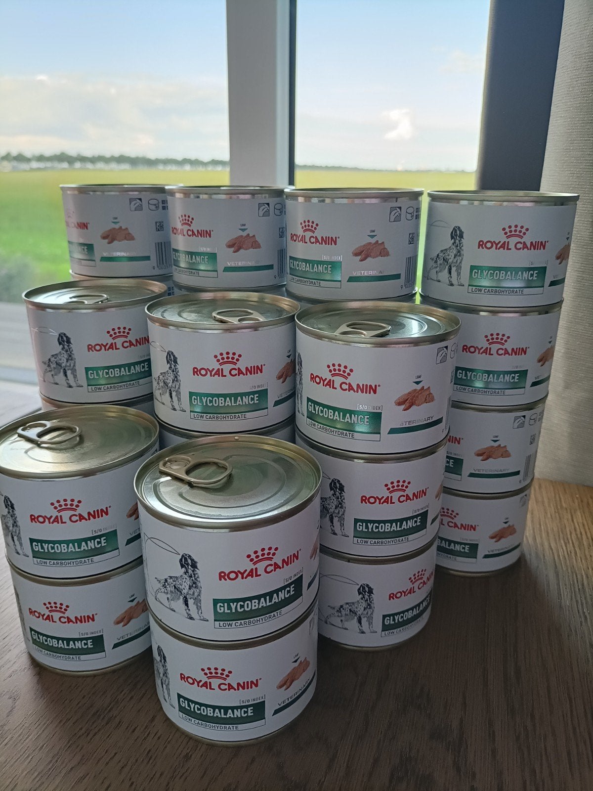 29 blikjes Royal Canin Glycobalance Hond (195g) - Nieuw, Ophalen of Verzenden, Hond