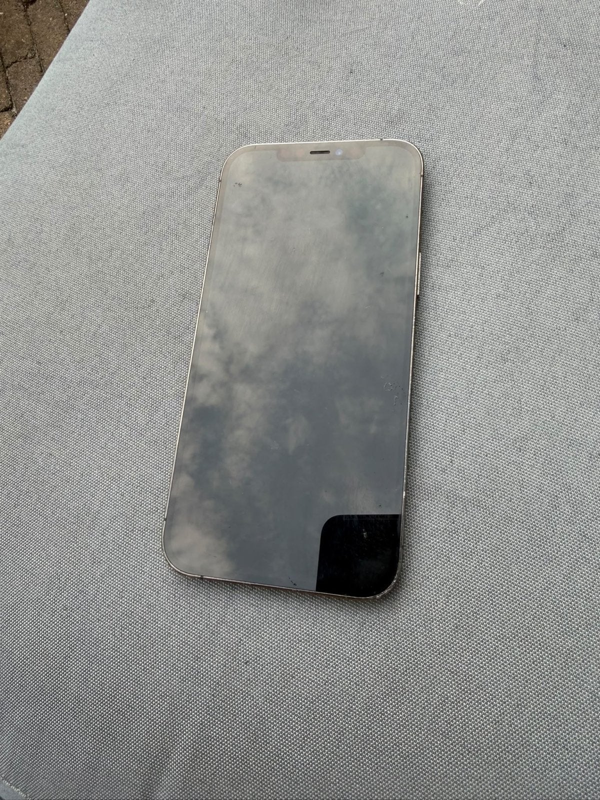 Foto 5 van iPhone 12 Pro Max 128GB Zilver - Gebruikt