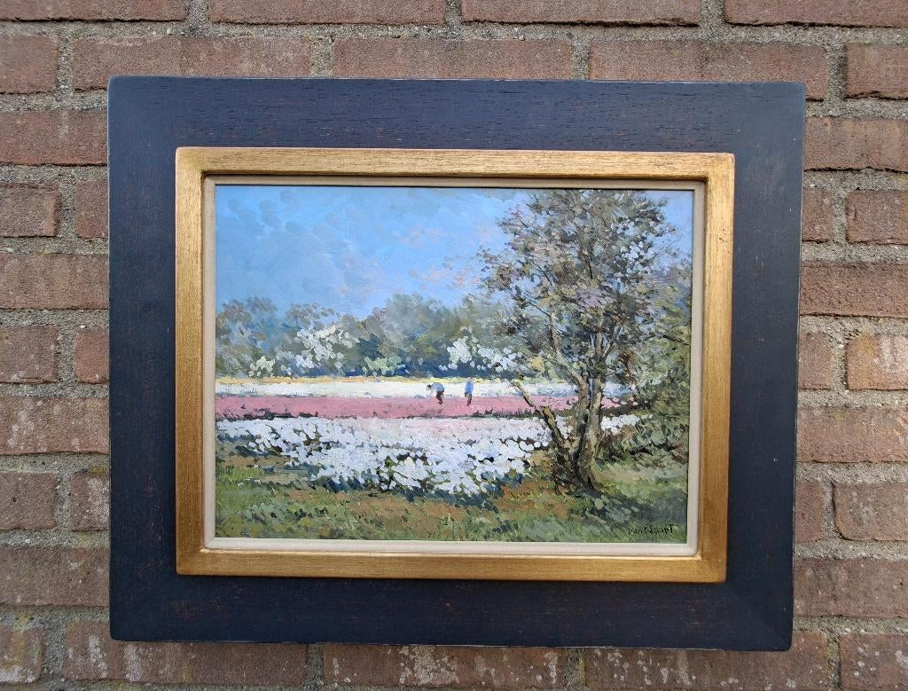 AC VAN NOORT , BOLLENVELD TE HEEMSTEDE, Antiek en Kunst, Kunst | Schilderijen | Klassiek, Ophalen