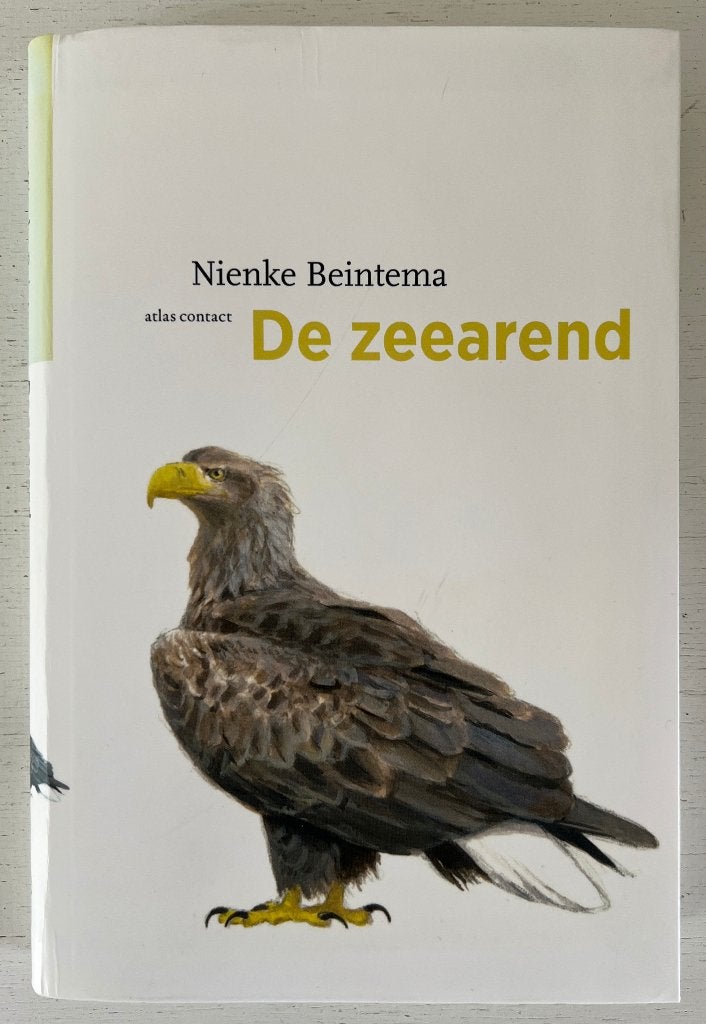 De Zeearend - Nienke Beintema, Boeken, Ophalen of Verzenden, Zo goed als nieuw, Overige onderwerpen