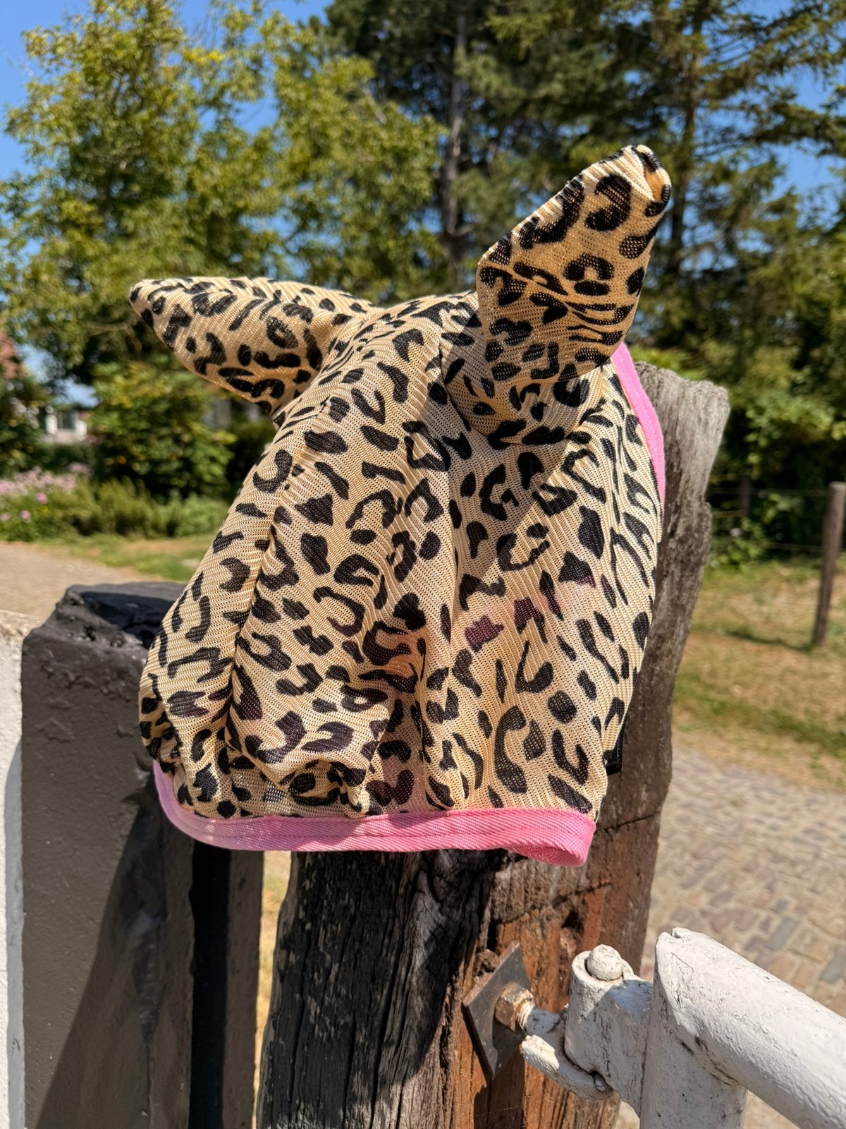 Vliegenkap EJ, Ophalen of Verzenden, Nieuw