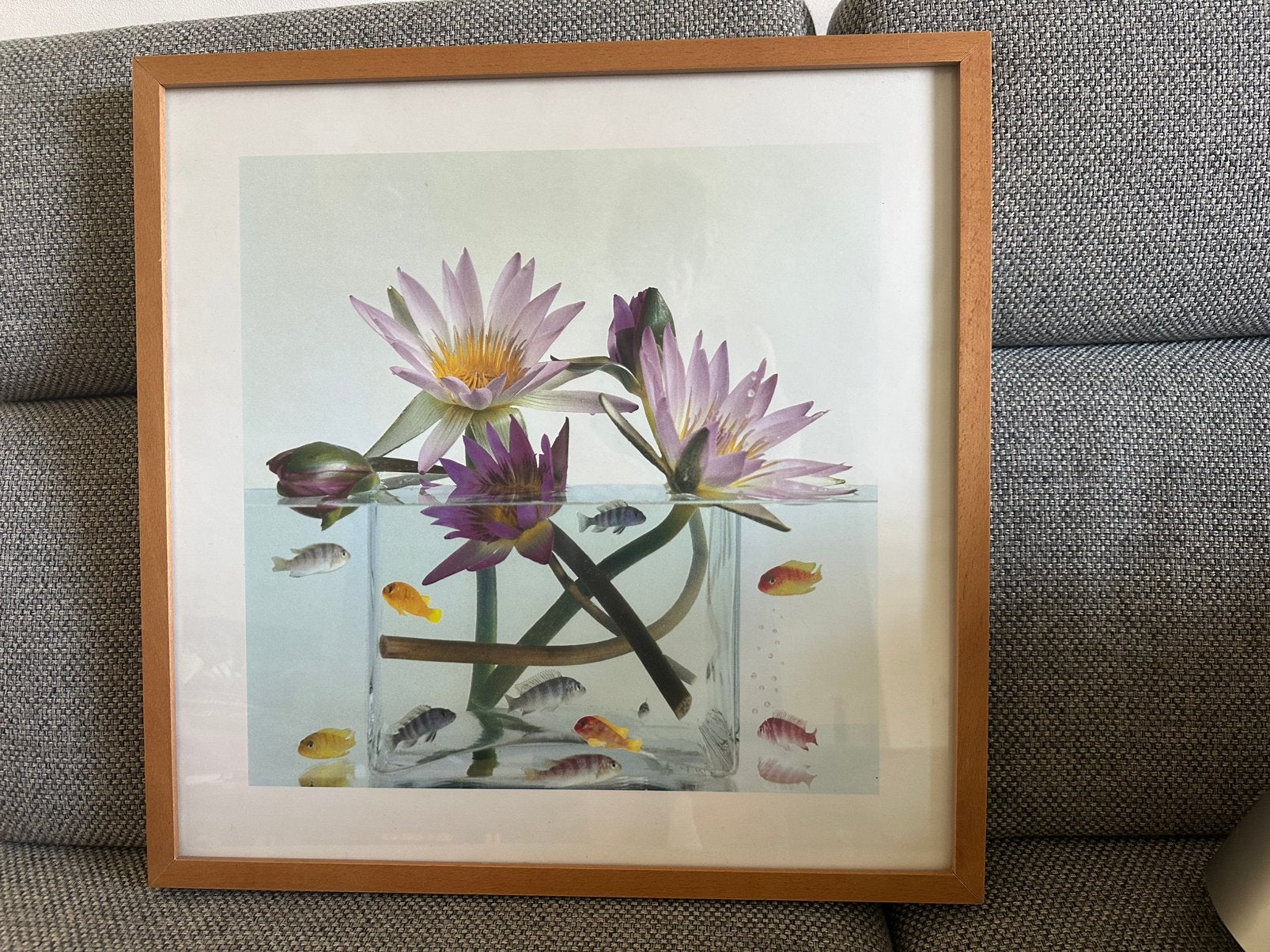 Schilderij, Huis en Inrichting, Woonaccessoires | Schilderijen, Tekeningen en Foto's, Ophalen, Minder dan 50 cm, Zo goed als nieuw