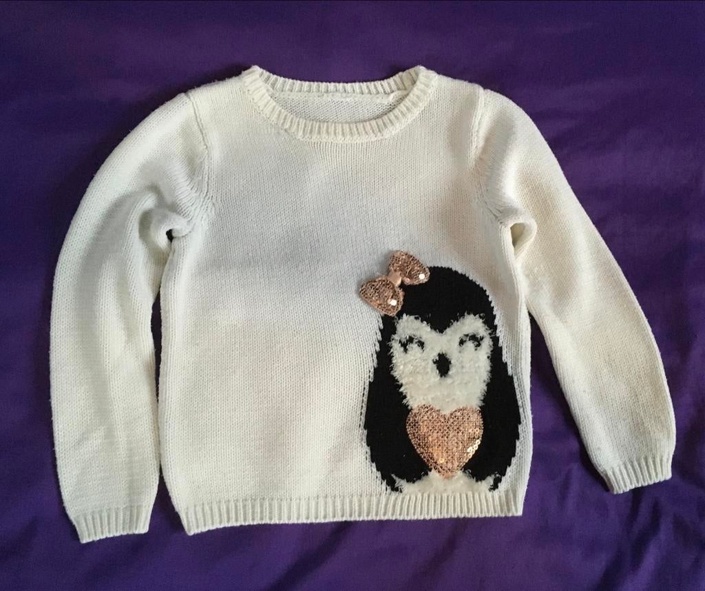 Leuke gebreide trui met pinguïn, maat 110, Ophalen of Verzenden, Gebruikt, Meisje, Trui of Vest