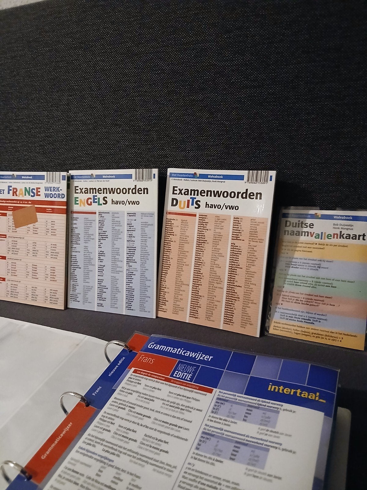 Complete grammatica-, werkwoorden- spellingswijzer Intertaal, Non-fictie, Nederlands, Ophalen of Verzenden, Zo goed als nieuw