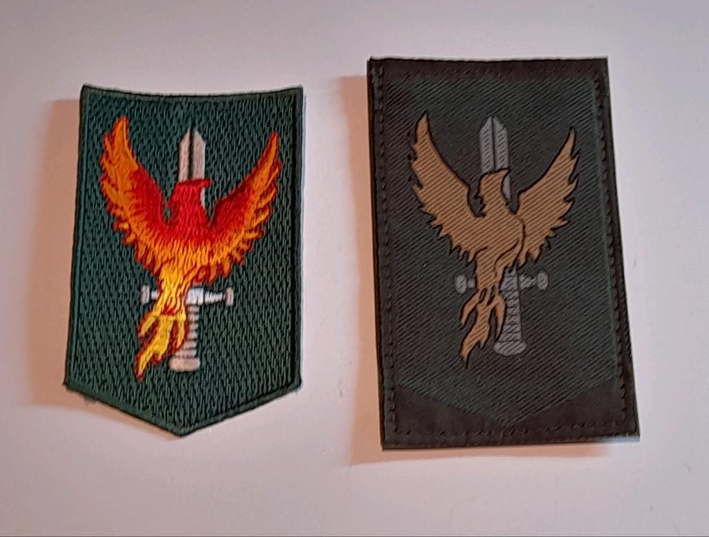 Mouwemblemen DT2000 EN GVT OOCL, Verzamelen, Militaria | Algemeen, Ophalen of Verzenden, Landmacht, Nederland, Embleem of Badge