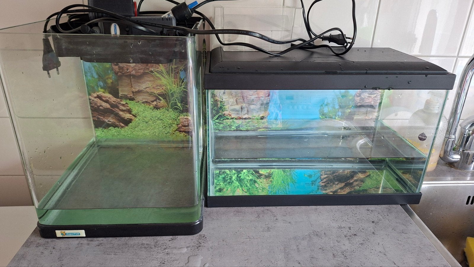 Kleine aquariums, Ophalen, Gebruikt, Leeg aquarium