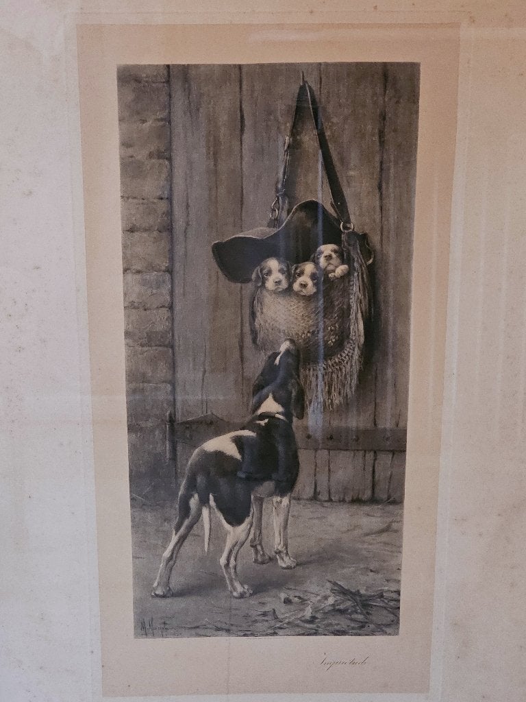 Antieke gravure van een jachthond met puppy's Marcel Moisand, Antiek en Kunst, Ophalen