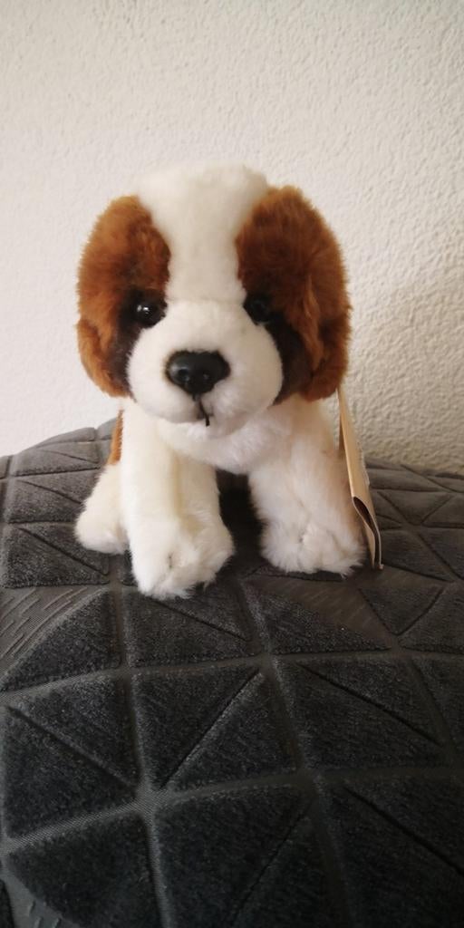 Sint Bernhard knuffel, Ophalen of Verzenden, Nieuw, Hond