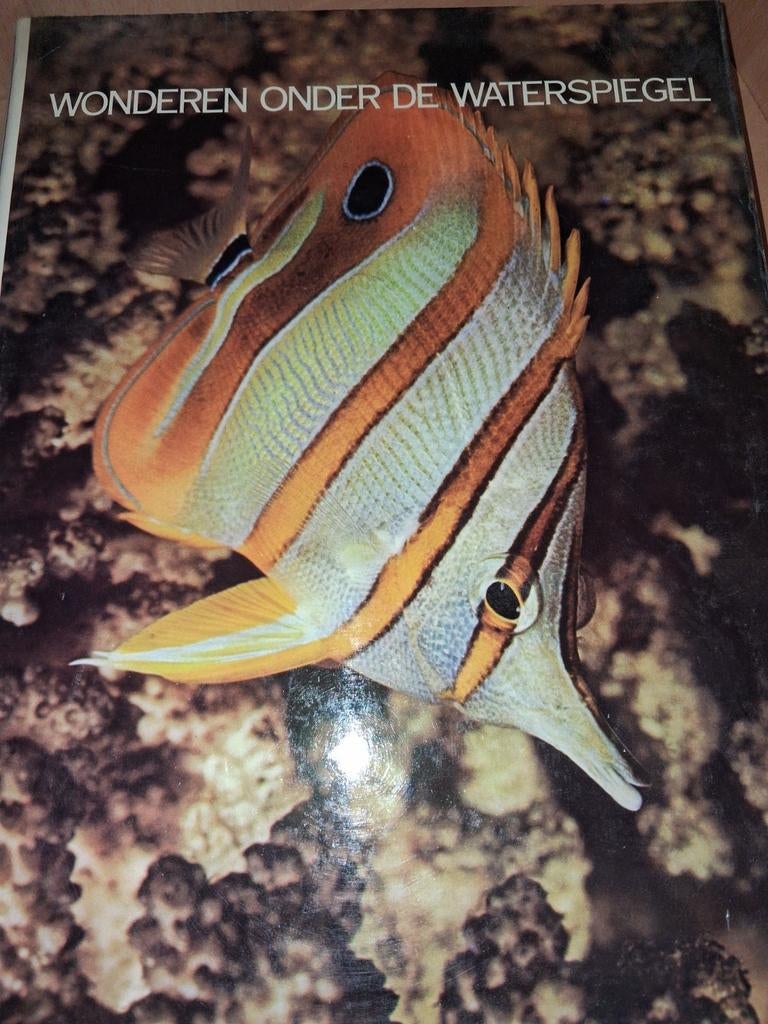 WONDEREN ONDER DE WATERSSPIEGEL - DEEL 8 VISSEN, Boeken, Ophalen of Verzenden