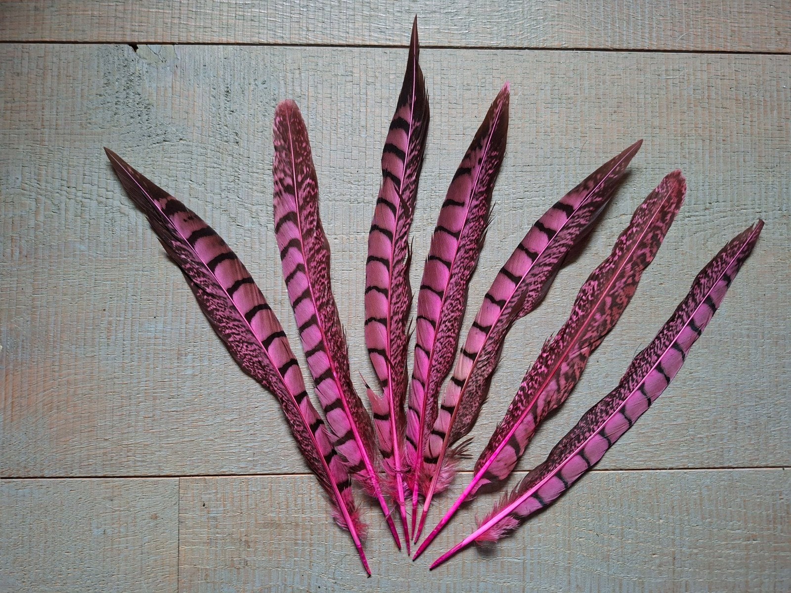 Roze fazantveren , feestveren veren knutselen, Hobby en Vrije tijd, Nieuw, Ophalen of Verzenden, Nvt, Nvt