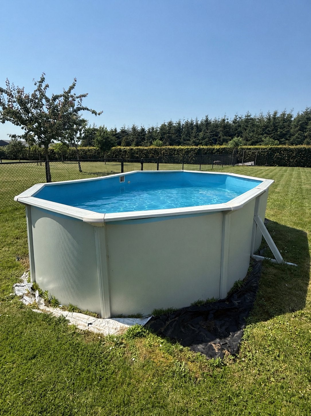 Groot staal zwembad! - Degelijk Familiezwembad (6,5 x 3,5m), Gebruikt, 300 cm of meer, Ovaal, Ophalen