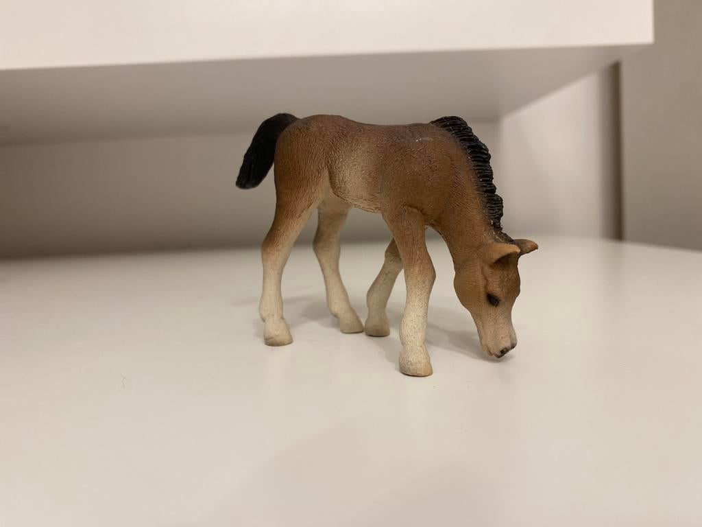 Schleich Arabier Veulen Grazend ~ 13652, Ophalen of Verzenden, Paard, Beeldje of Figuurtje