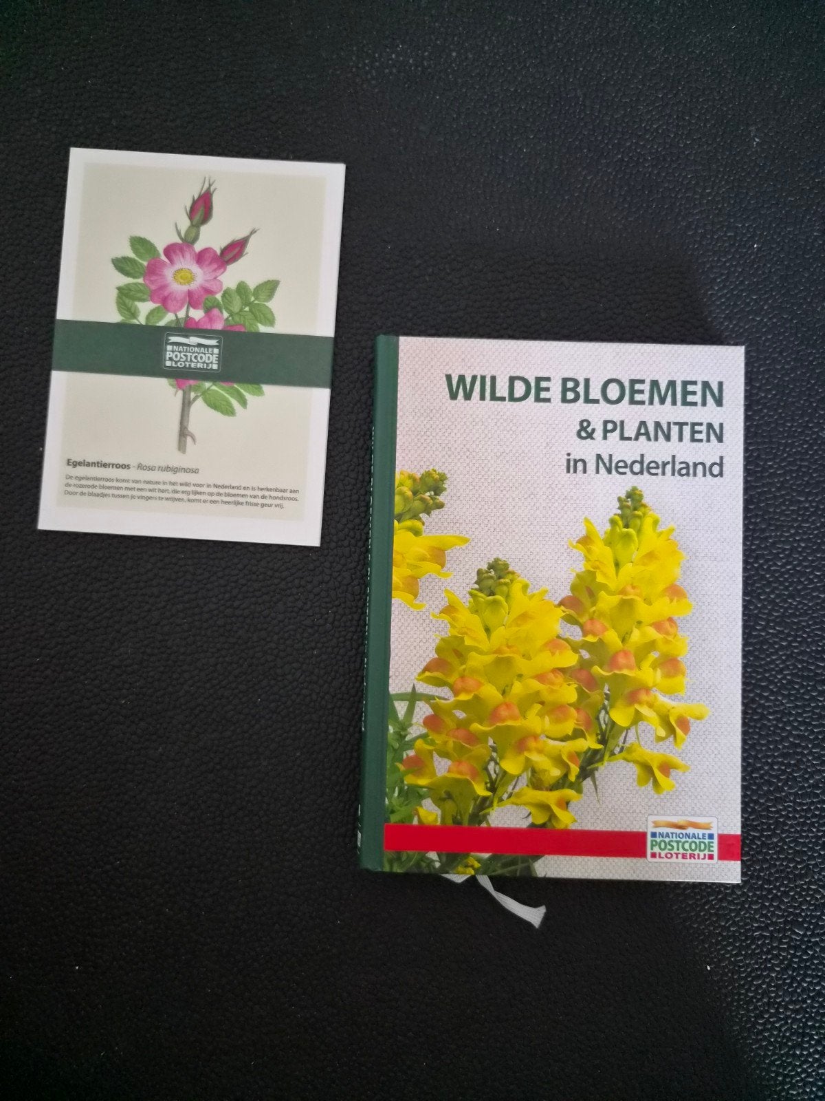 Wilde Bloemen & Planten in Nederland + Egelantierroos, Boeken, Ophalen of Verzenden, Nieuw, Bloemen, Planten en Bomen, Nationale Postcode Loterij