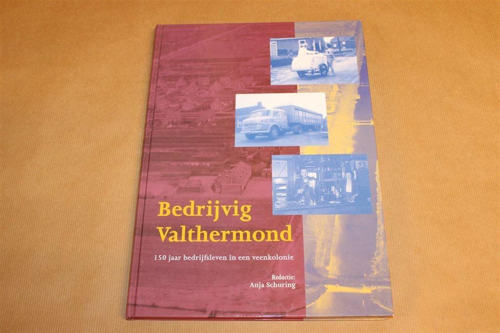 Bedrijvig Valthermond — 150 Jaar Bedrijfsleven, Boeken, Geschiedenis | Stad en Regio, Ophalen of Verzenden, Zo goed als nieuw