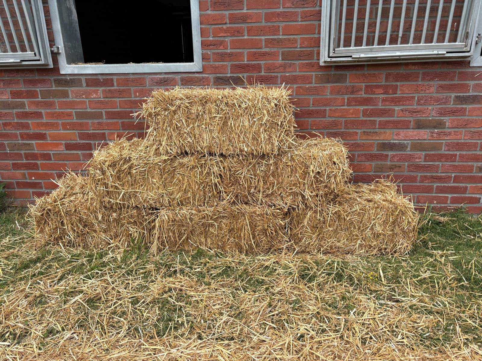 Kleine balen stro circa 15kg, Dieren en Toebehoren, Paarden en Pony's | Overige Paardenspullen, Ophalen, Nieuw