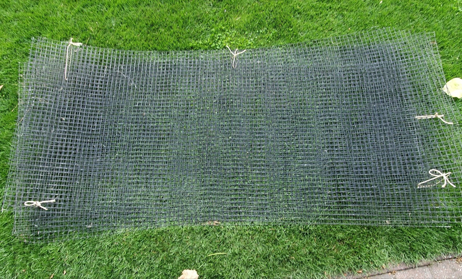 5x Gepoedercoat Gaas 75x180 cm, 2 cm mazen, Tuin en Terras, Gaas en Draad, Ophalen, Minder dan 10 meter