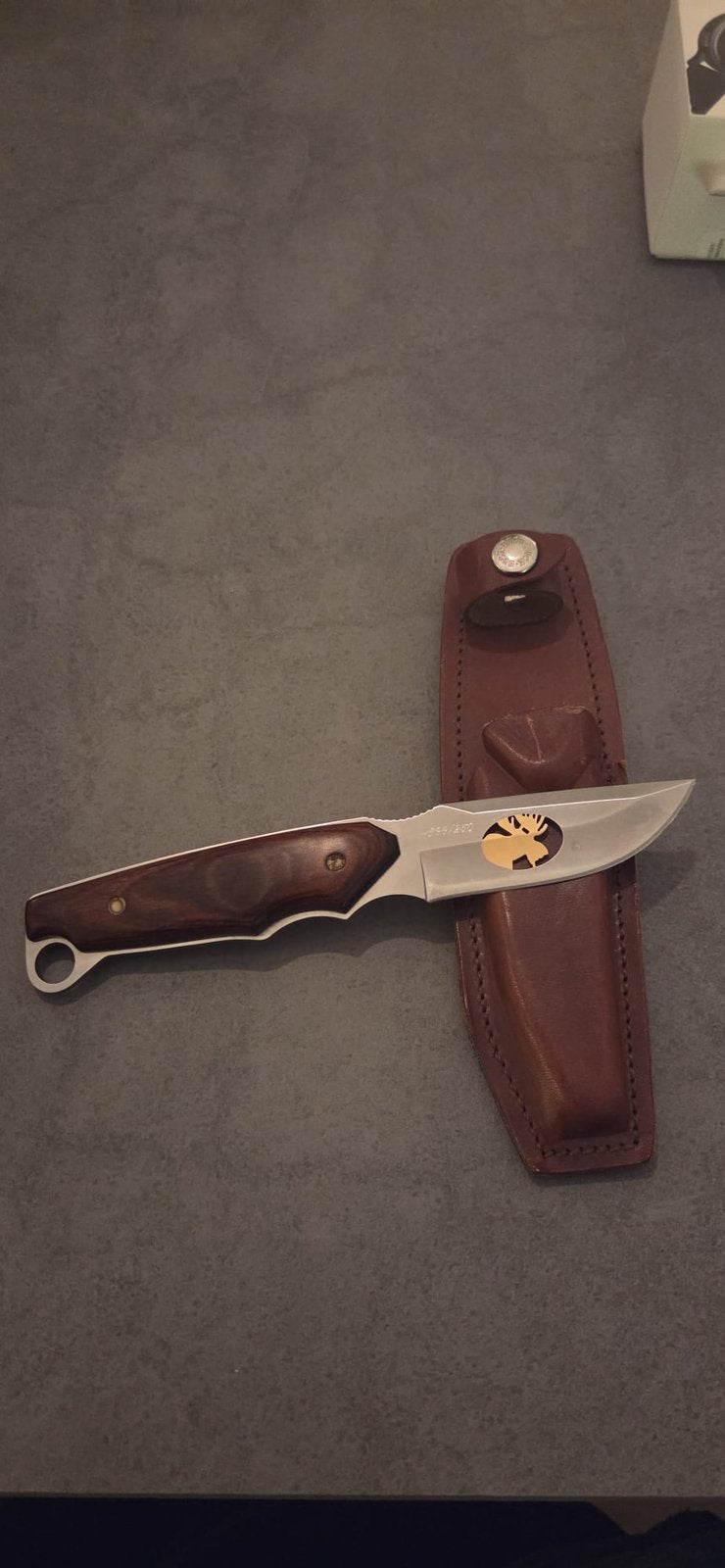 Buck Knife | Limited edition | 088 / 250 | Fixed blade, Ophalen of Verzenden