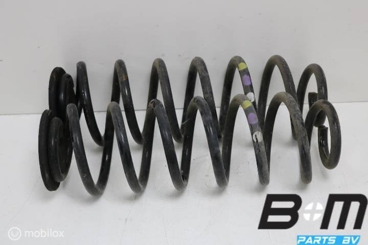Set achterveren VW Passat B7, Gebruikt