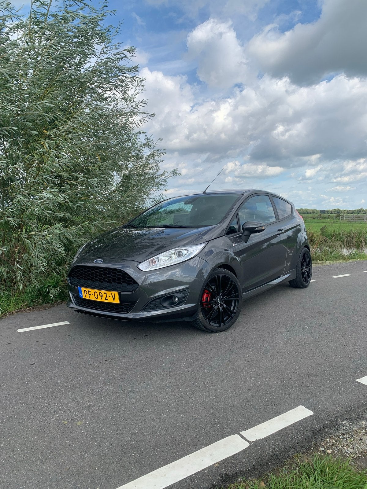 Ford Fiësta nieuwe distributie 1.0 92KW/125PK 3D 2017 Grijs