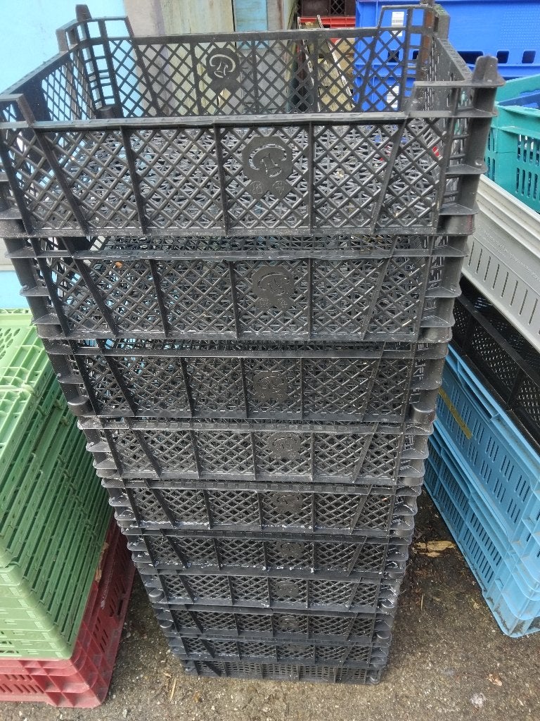 kratjes 10 stuks 5,00, Ophalen, Minder dan 35 cm, Minder dan 50 cm, Zo goed als nieuw
