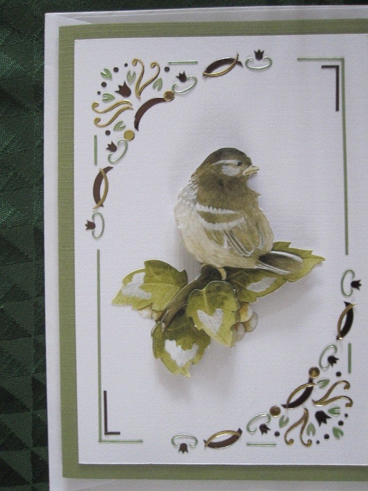 Originele vogel kaarten (3D), Ophalen, Nieuw, Dieren