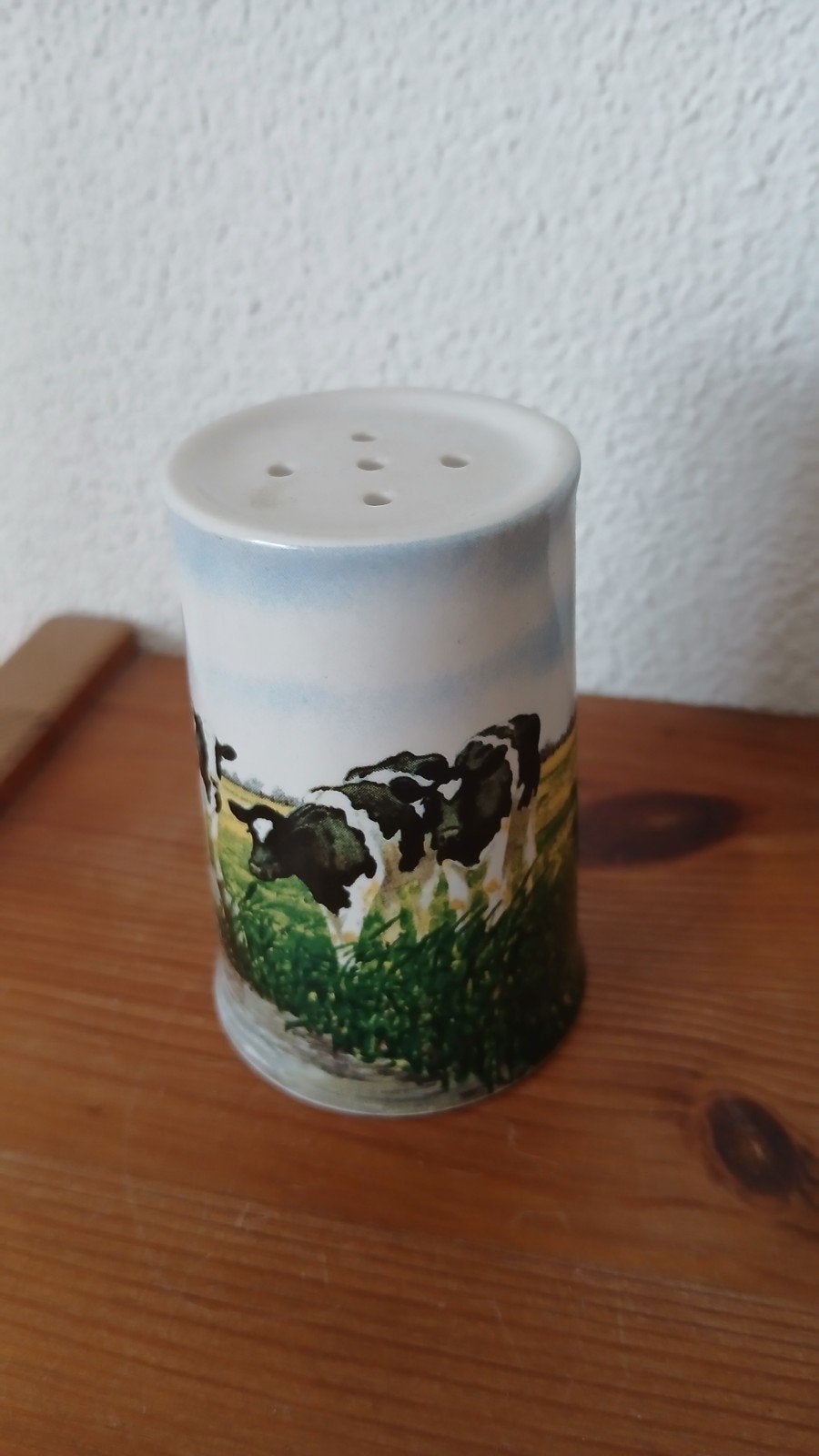 Wiebe van der Zee, Verzenden, Overige typen, Zo goed als nieuw, Overige stijlen
