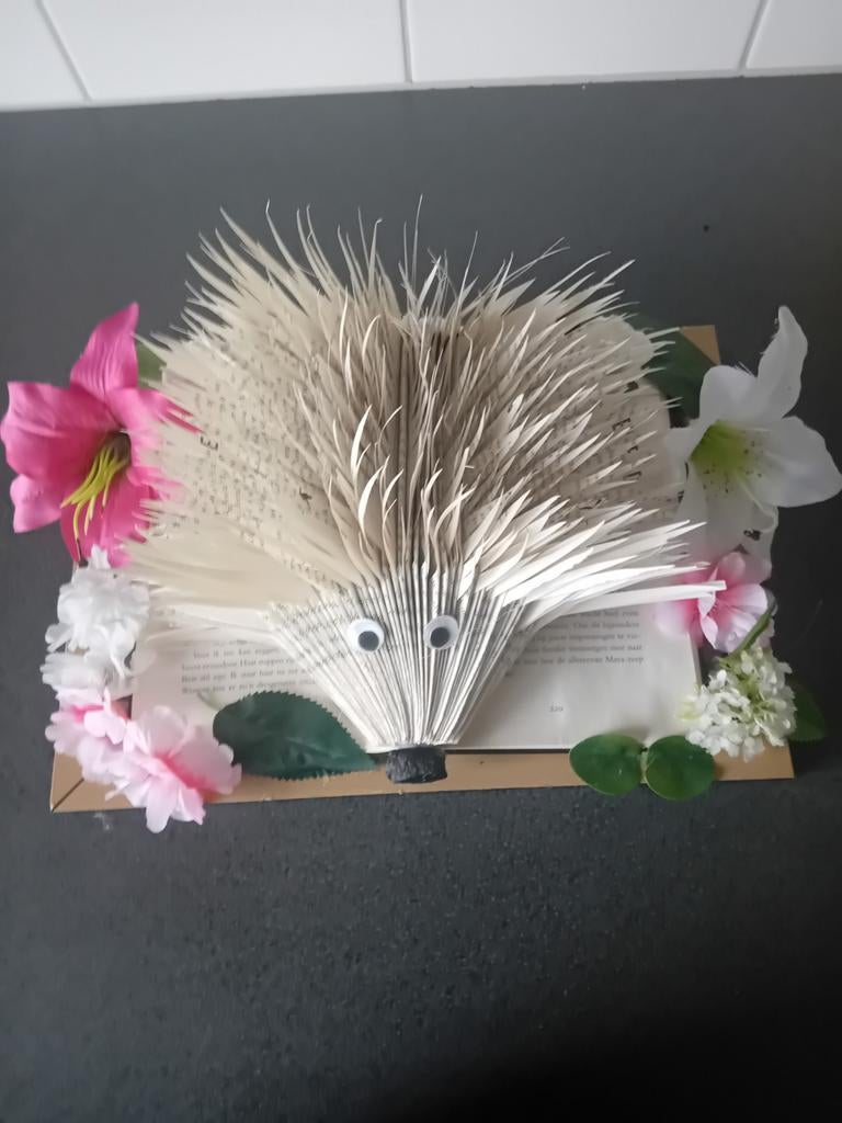 Cadeau tip, Ophalen of Verzenden, Zo goed als nieuw, Overige onderwerpen