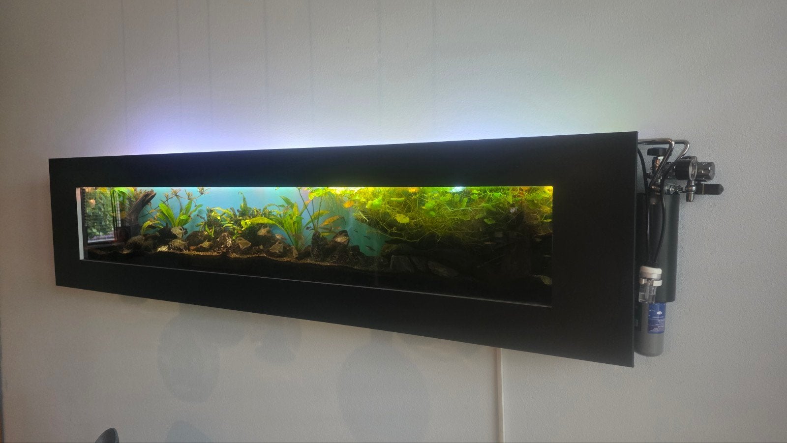 Flatscreen aquarium 190 cm, Ophalen, Leeg aquarium