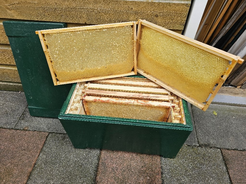 Zes ramen kast met 6 opgebouwde Duitse Normaal ramen, Ophalen