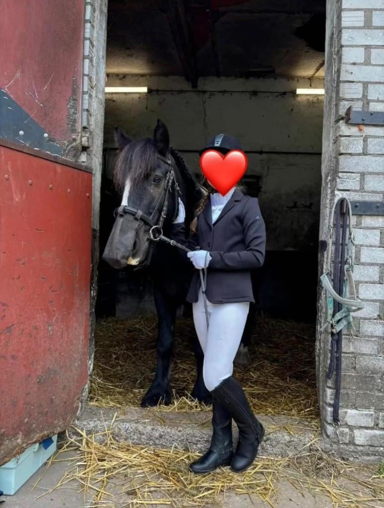 Gezocht verzorgpony; bijrijdpony/paard, Ophalen of Verzenden