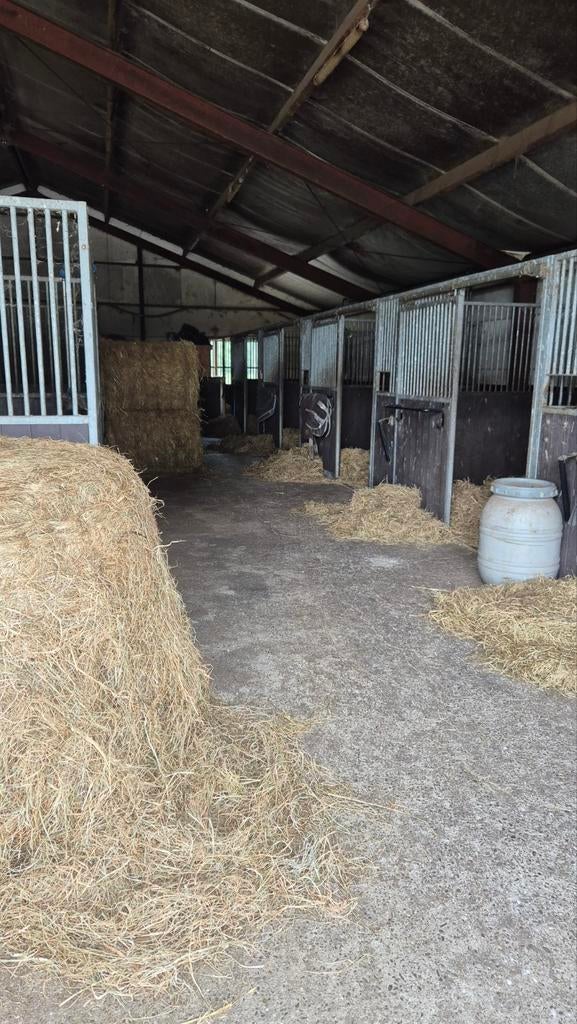 Privé stalling en beleren van paarden, Stalling, 4 paarden of pony's of meer