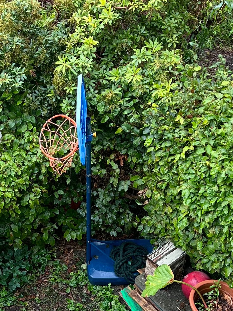 Basket, Ophalen, Gebruikt, Ring, Bord of Paal