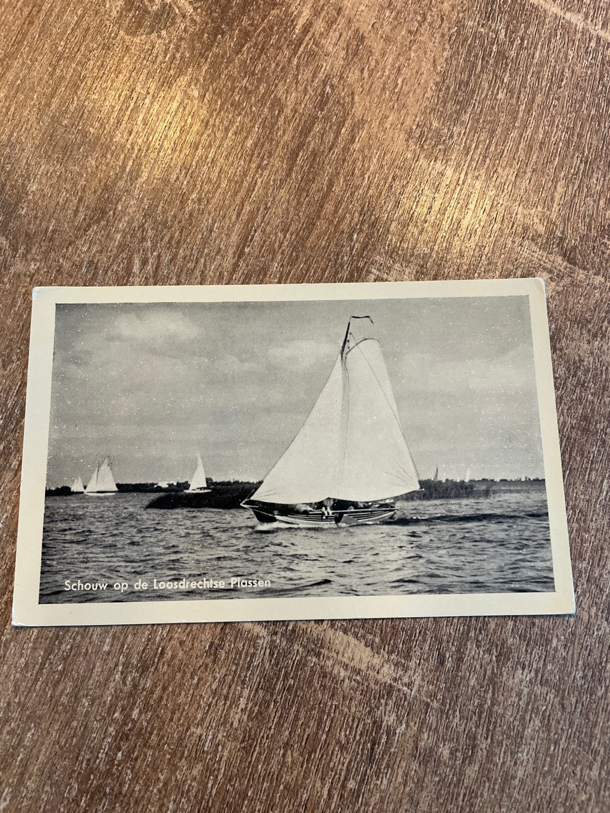 Ansichtkaart Schouw op de Loosdrechtse Plassen, Ophalen of Verzenden, 1940 tot 1960, Ongelopen, Natuur
